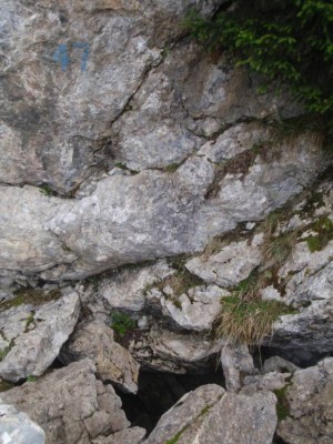 20080614-sous-dine-07.jpg