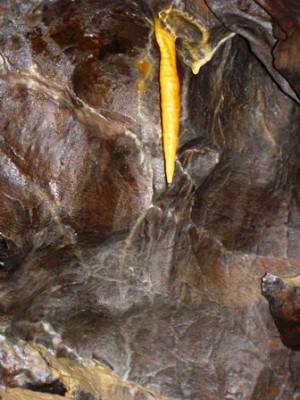 PICT3370.JPG